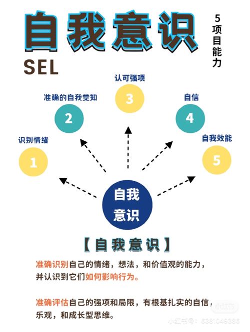 SEL社會(huì)情感項(xiàng)目