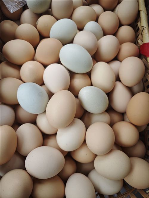 岳陽散養(yǎng)土雞蛋,皮蛋咸鴨蛋