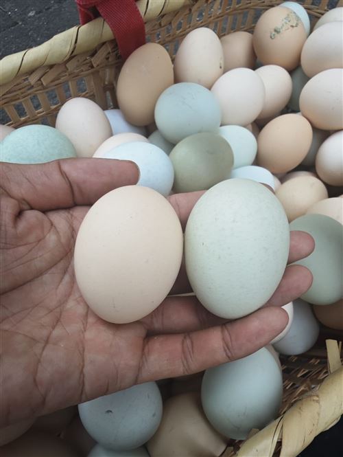 岳陽散養土雞蛋,皮蛋咸鴨蛋