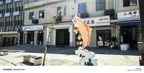 洞庭南路房屋出租