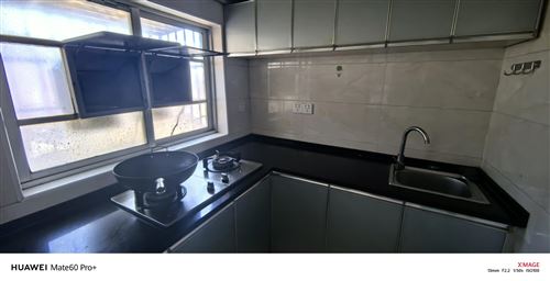 洞庭南路房屋出租